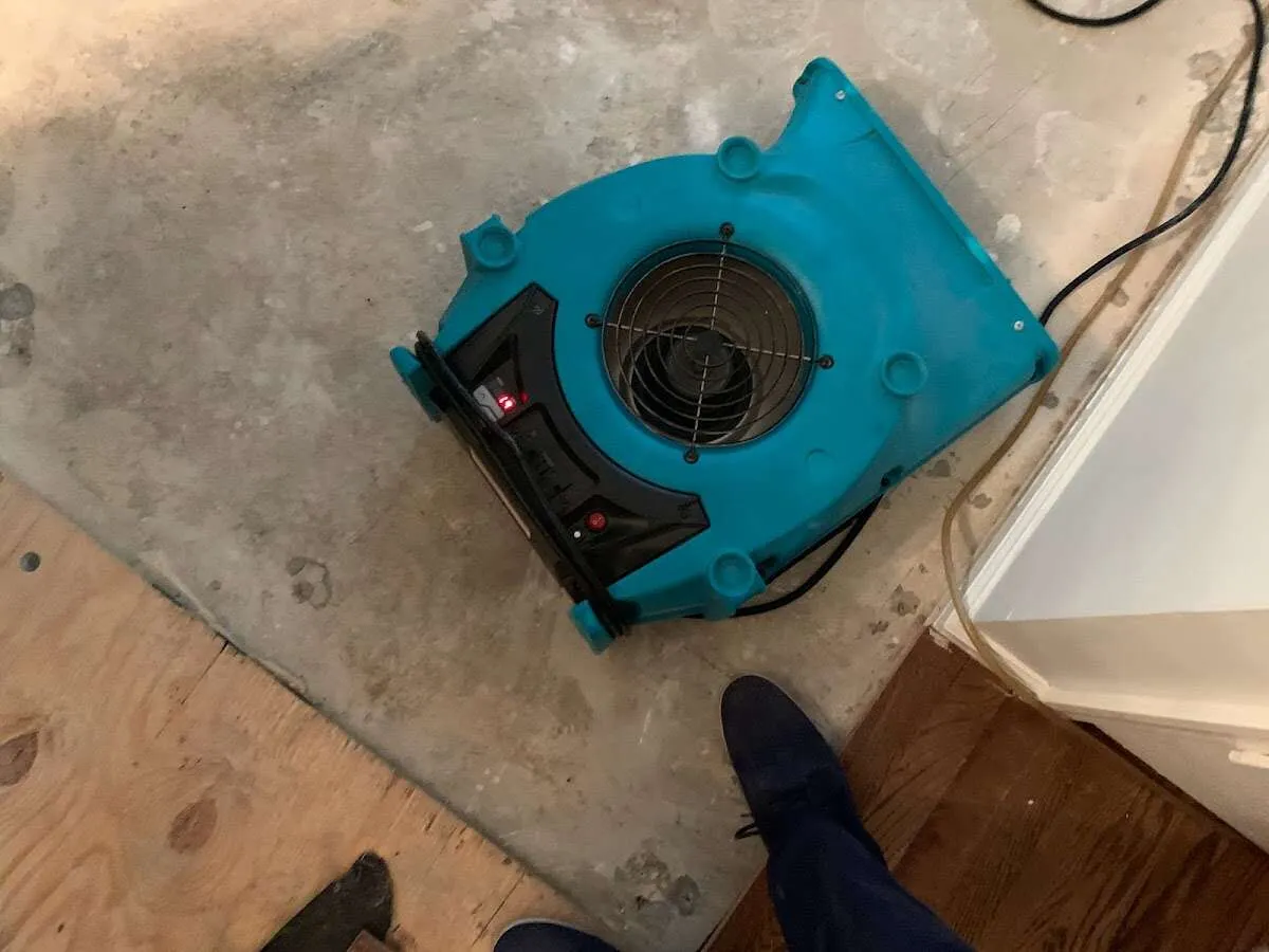 Air mover drying subfloor during Commercial Water Damage Restoration in Shelbyville